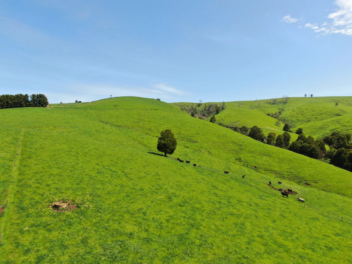 Additional image 28 of 365 Limonite Road, Boolarra South VIC 3870