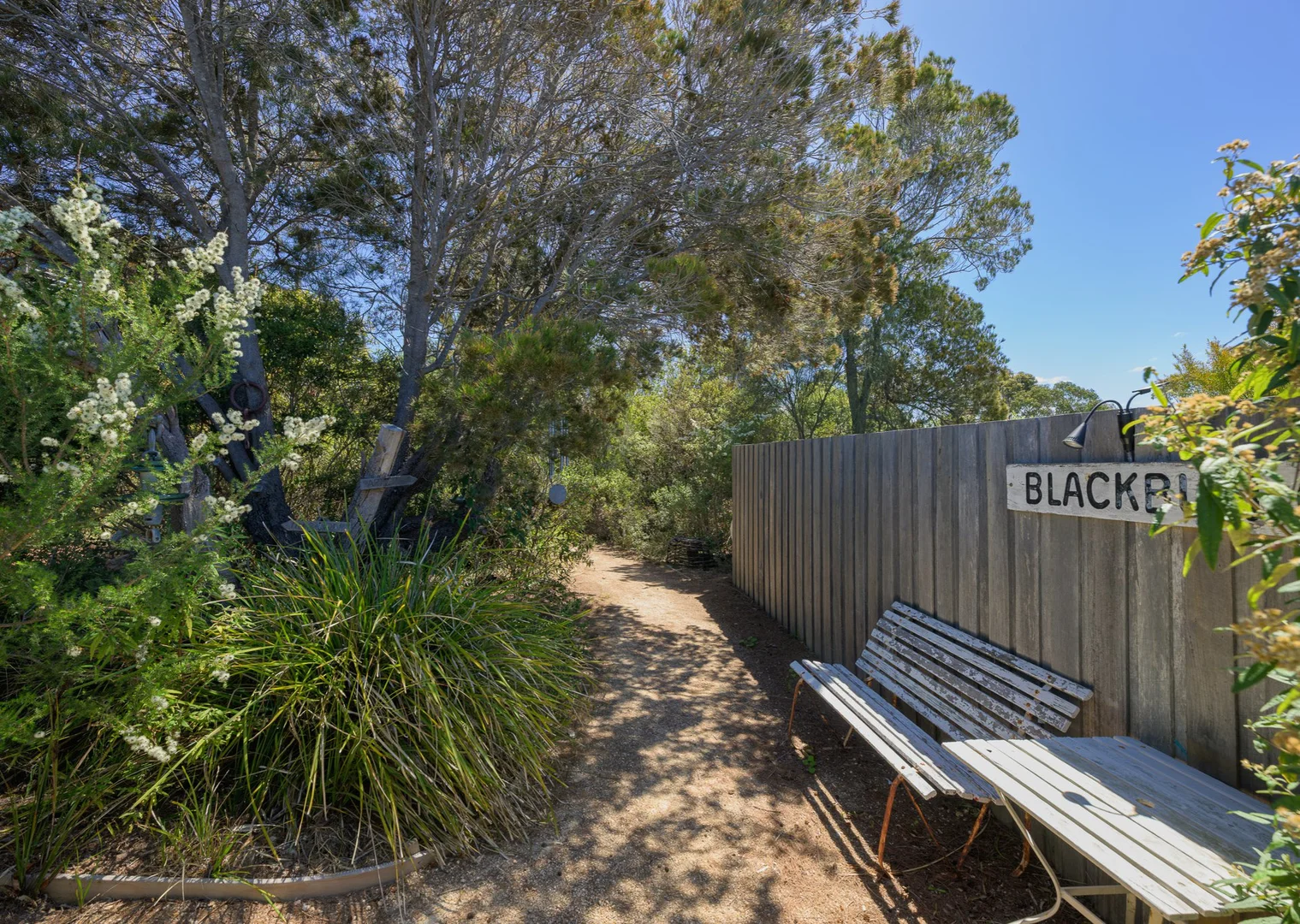 Additional image 31 of 5 Silver Street, Scamander TAS 7215