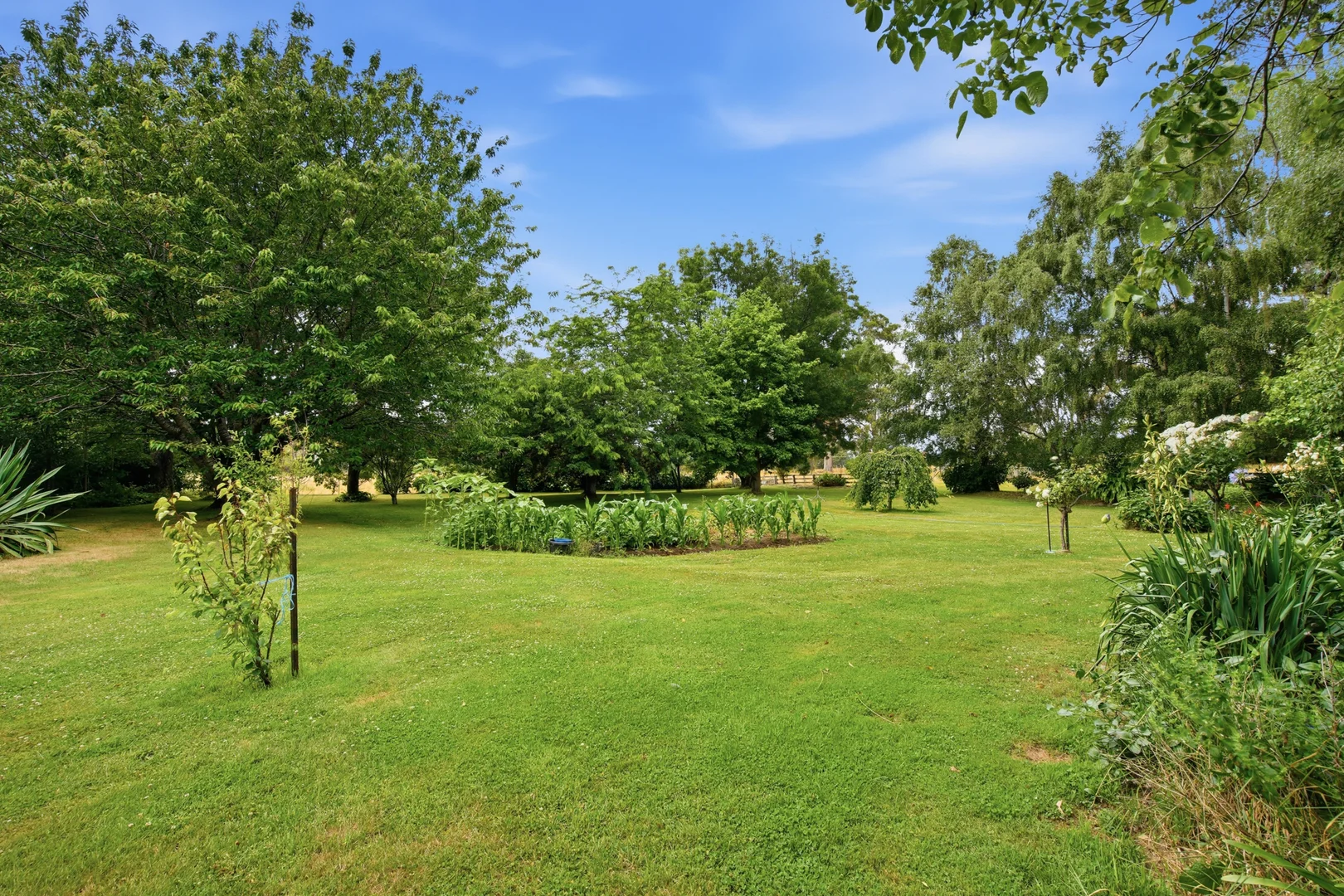 Additional image 19 of 496 Blackwood Creek Road (access via Hodgetts Road), Blackwood Creek TAS 7301