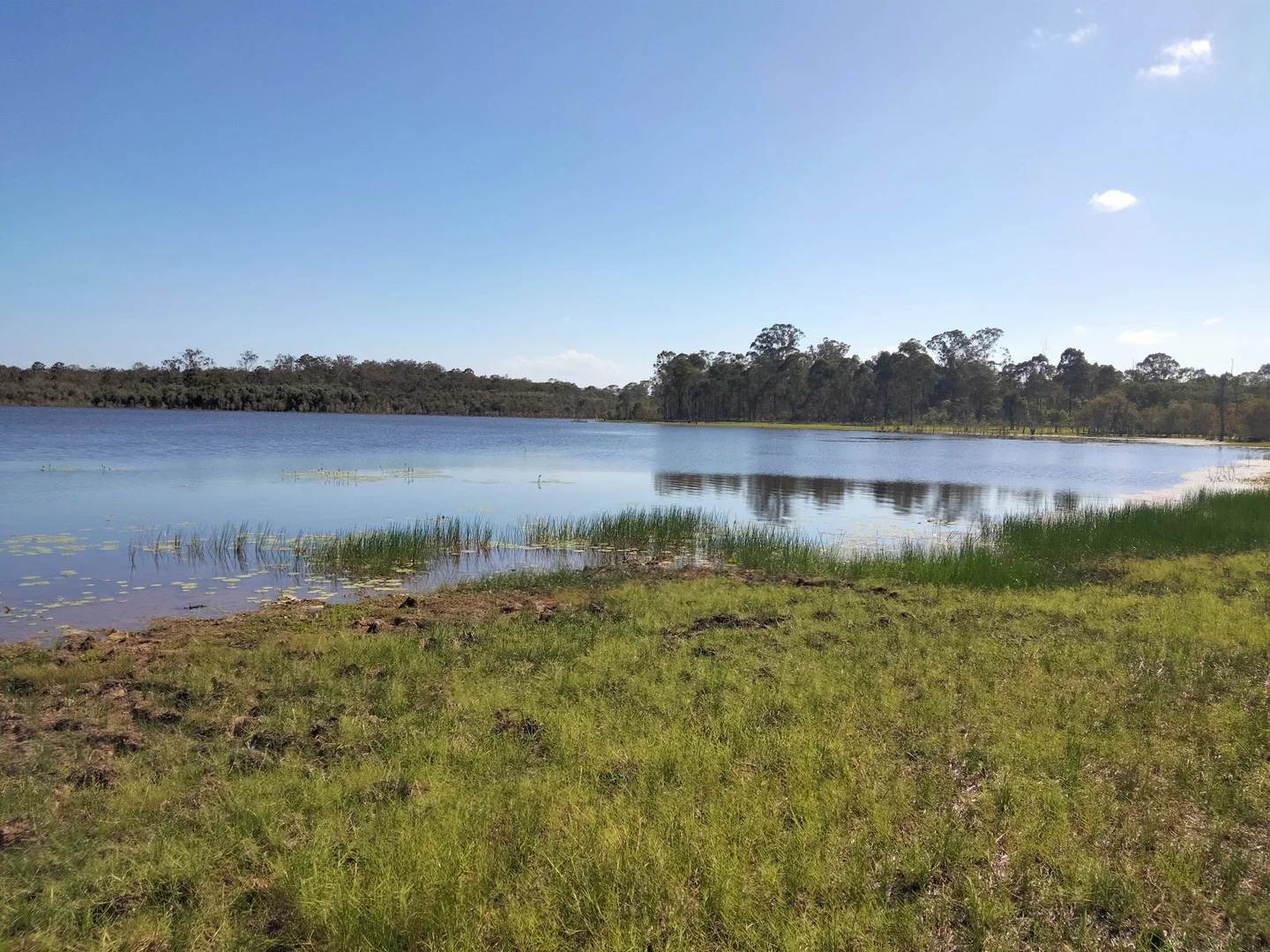 Additional image 2 of 2913 Rosedale Road, Yandaran QLD 4673