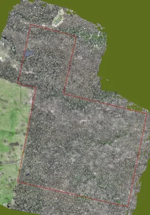 Additional image 11 of 47 Black Range Road, Bega NSW 2550