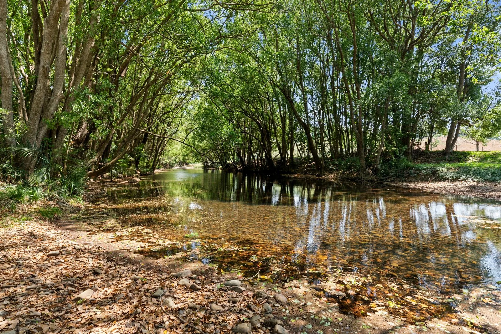 Additional image 15 of 981 Numinbah Road, Crystal Creek NSW 2484