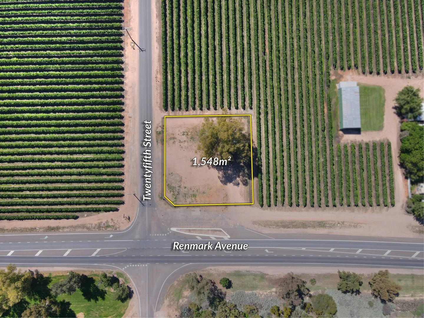 59 Twentyfifth Street, Renmark SA 5341