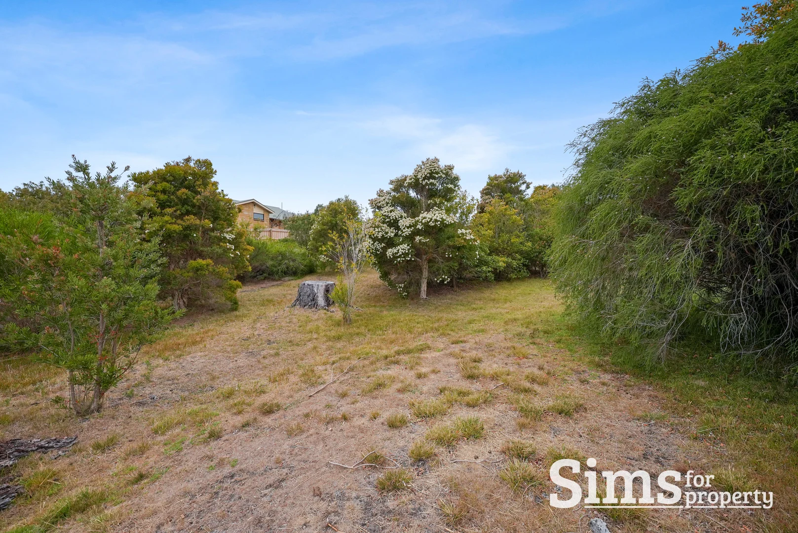 Additional image 10 of Lot 1/26 Coffey Drive, Binalong Bay TAS 7216