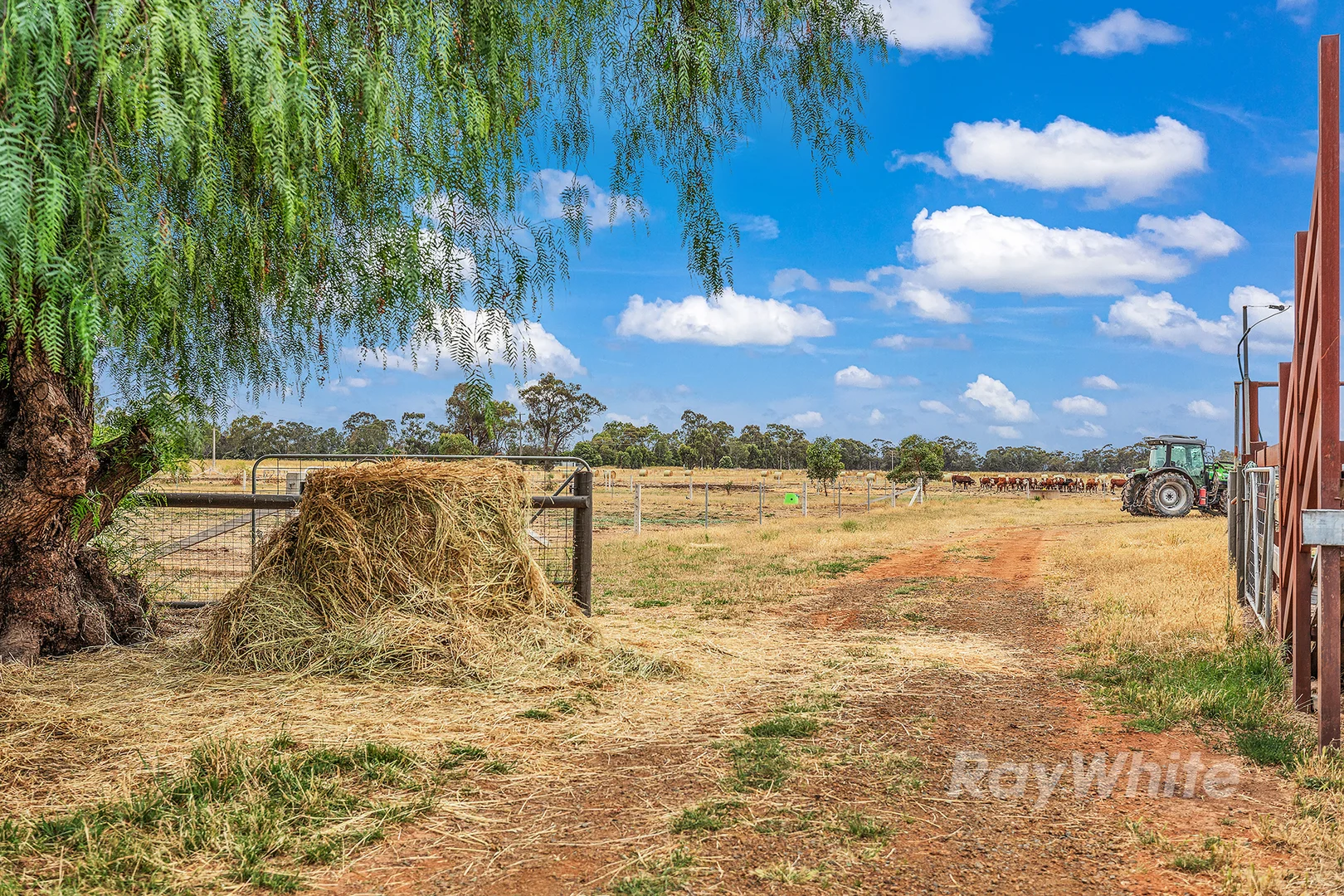 Additional image 3 of 1835 Lilford Road, Merrigum VIC 3618