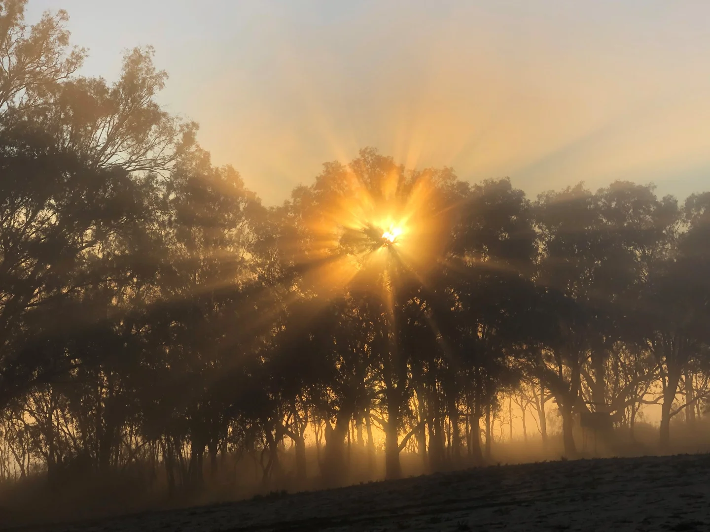 Additional image 30 of 108 Pike Creek Road, Lyrup SA 5343