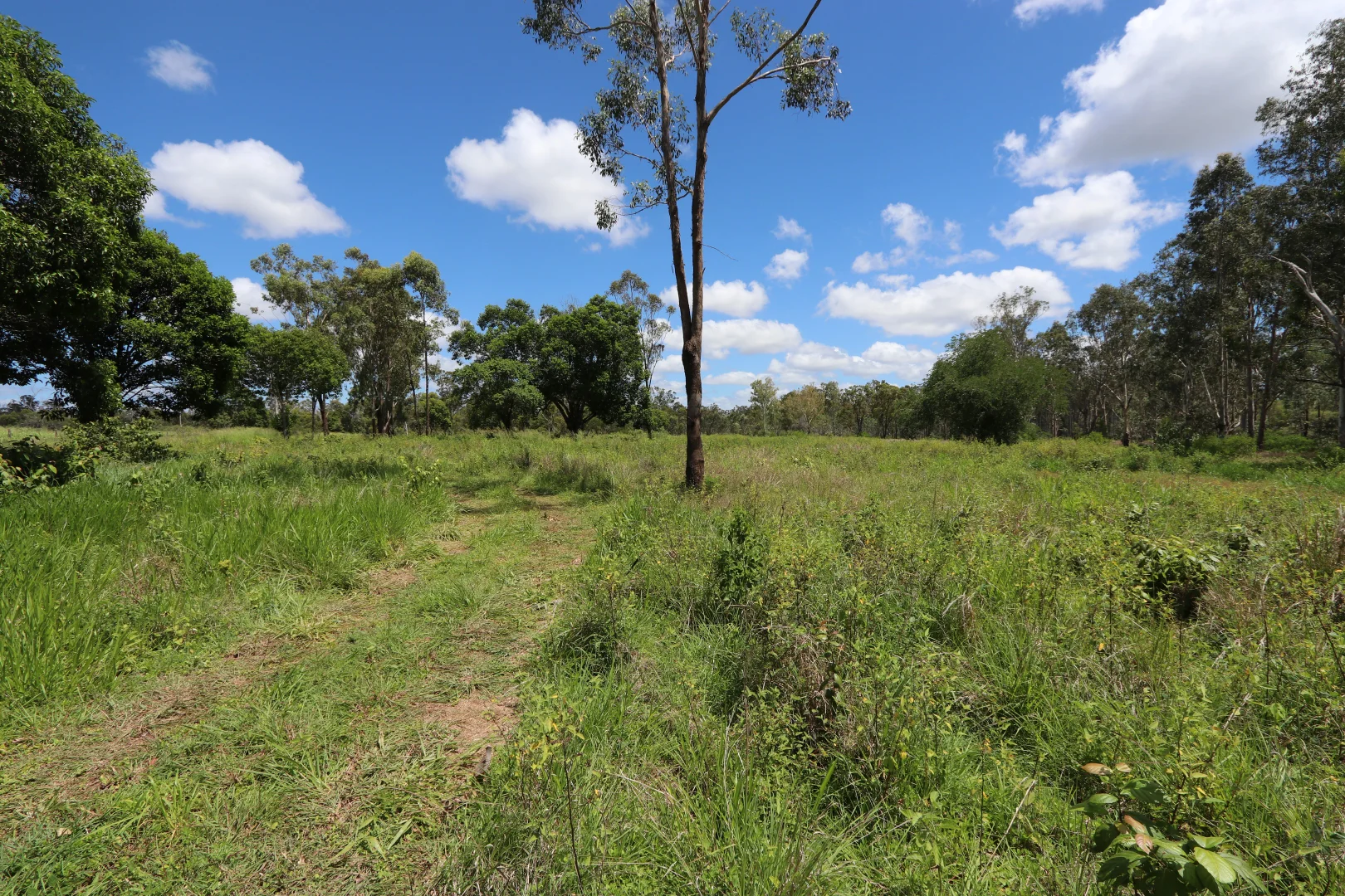 Additional image 22 of 330 Doonside Road, Jardine QLD 4702
