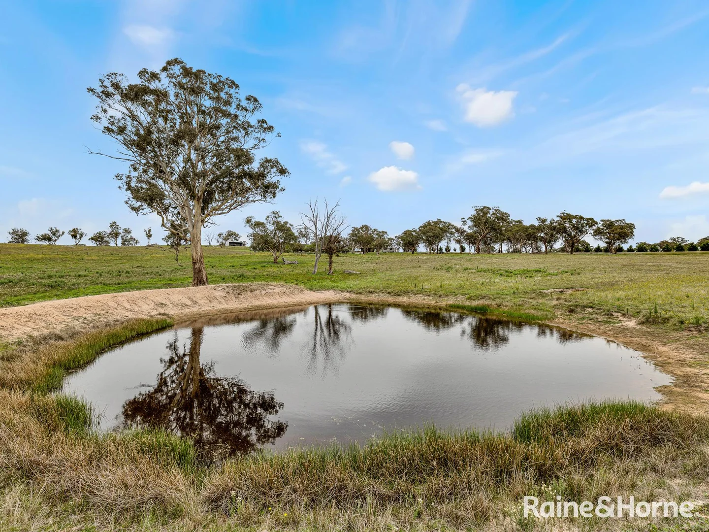 Additional image 31 of 223 Wimbledon Road, Georges Plains NSW 2795