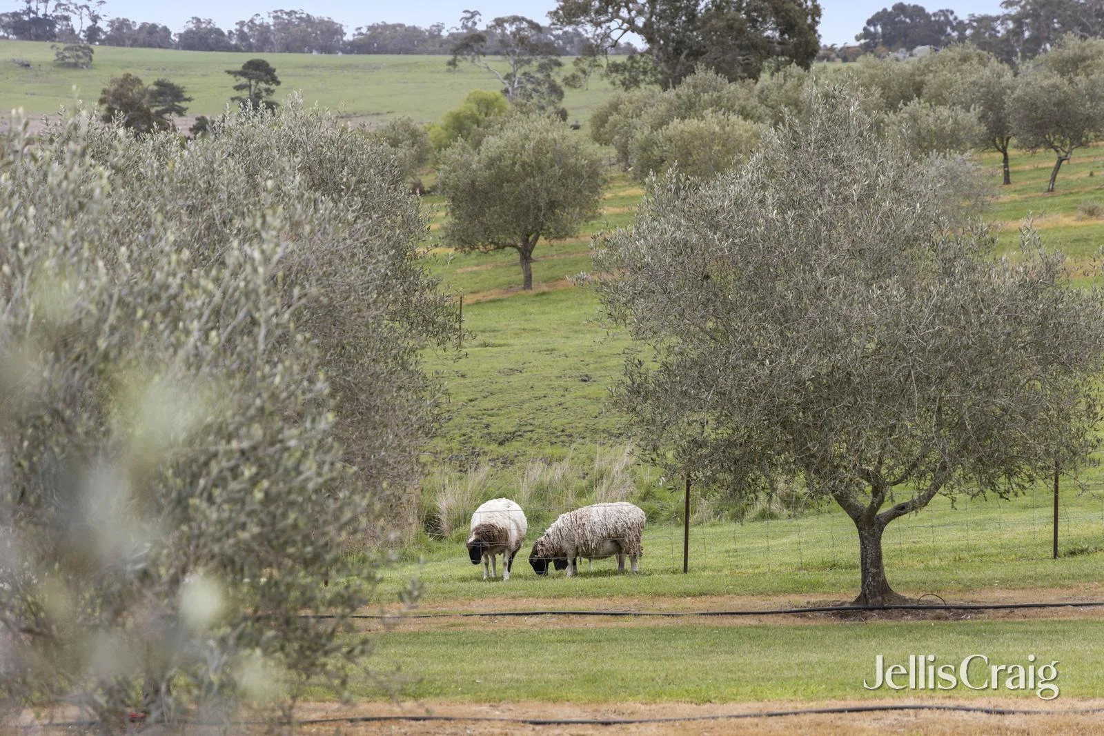 Additional image 12 of 459 Lauriston Road, Lauriston VIC 3444