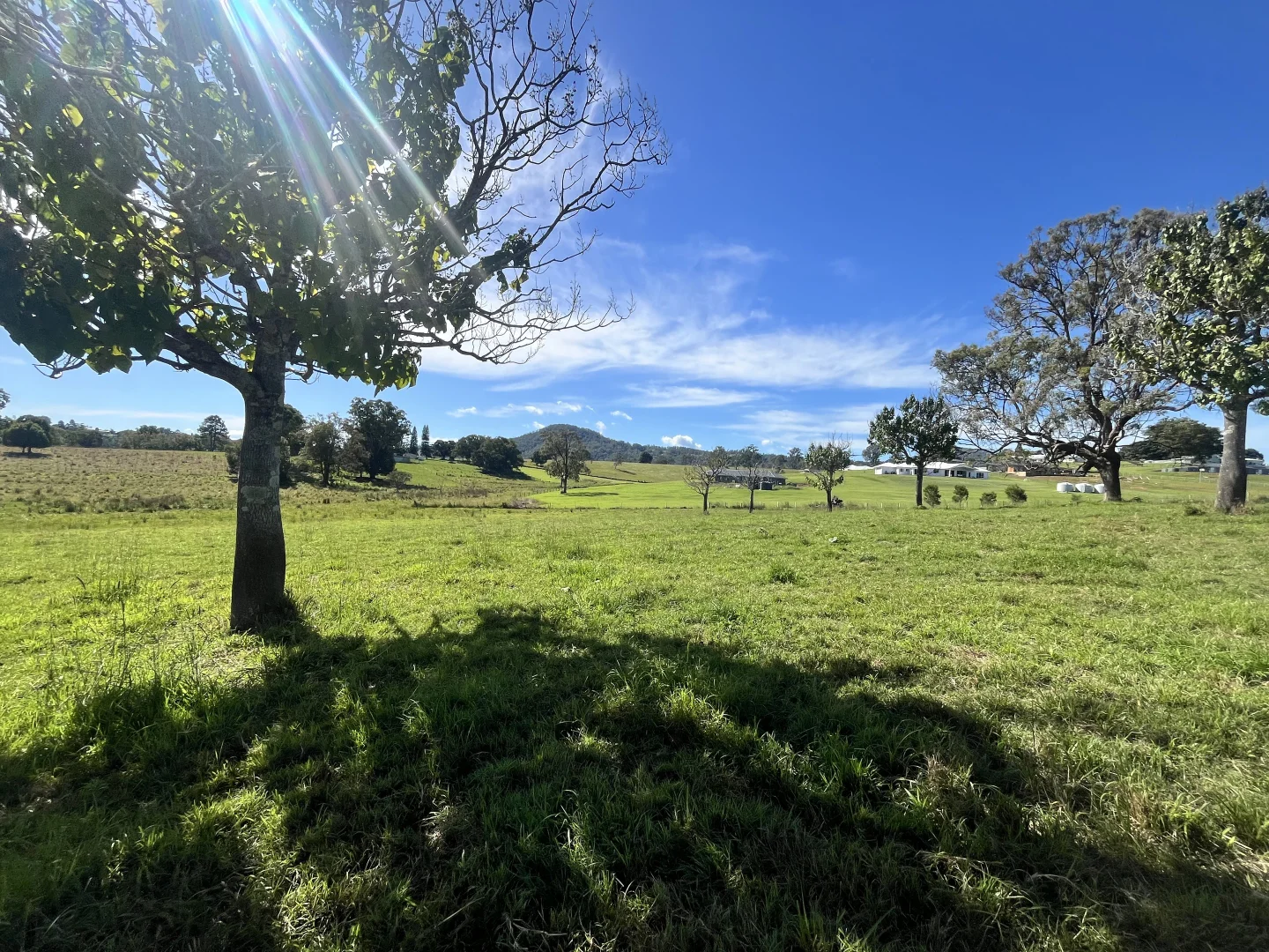 Additional image 6 of 1A Yarraman Drive, Kyogle NSW 2474