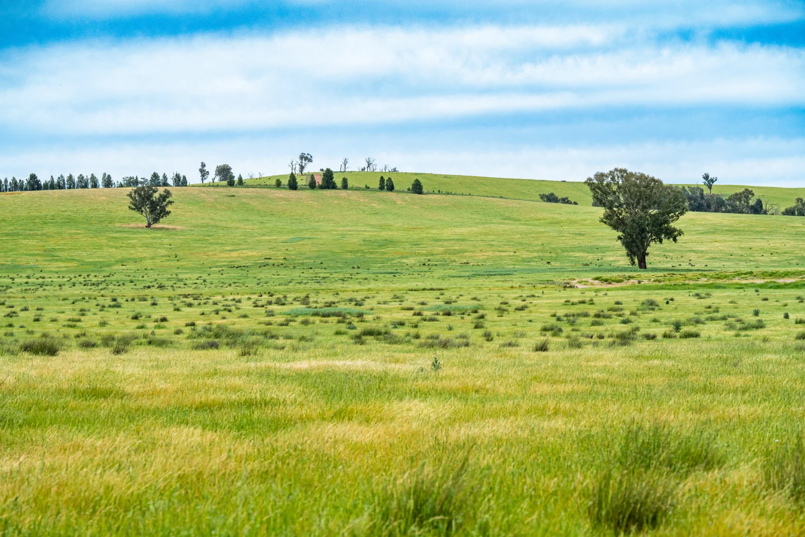 Additional image 9 of 1470 Yerong Creek Mangoplah Road, Mangoplah NSW 2652