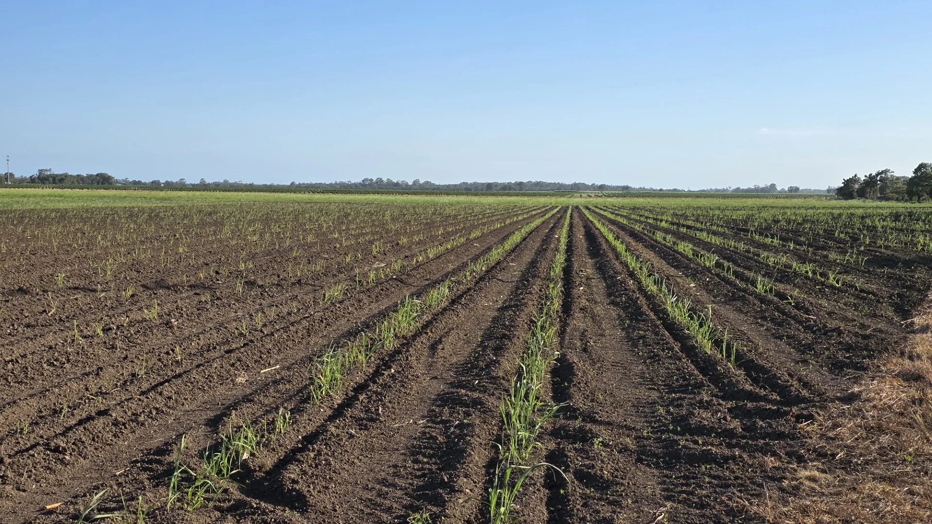 Additional image 3 of 292 Pimlico Road, Pimlico NSW 2478