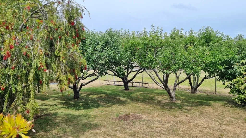 Additional image 30 of 5731 Frankford Road, Wesley Vale TAS 7307