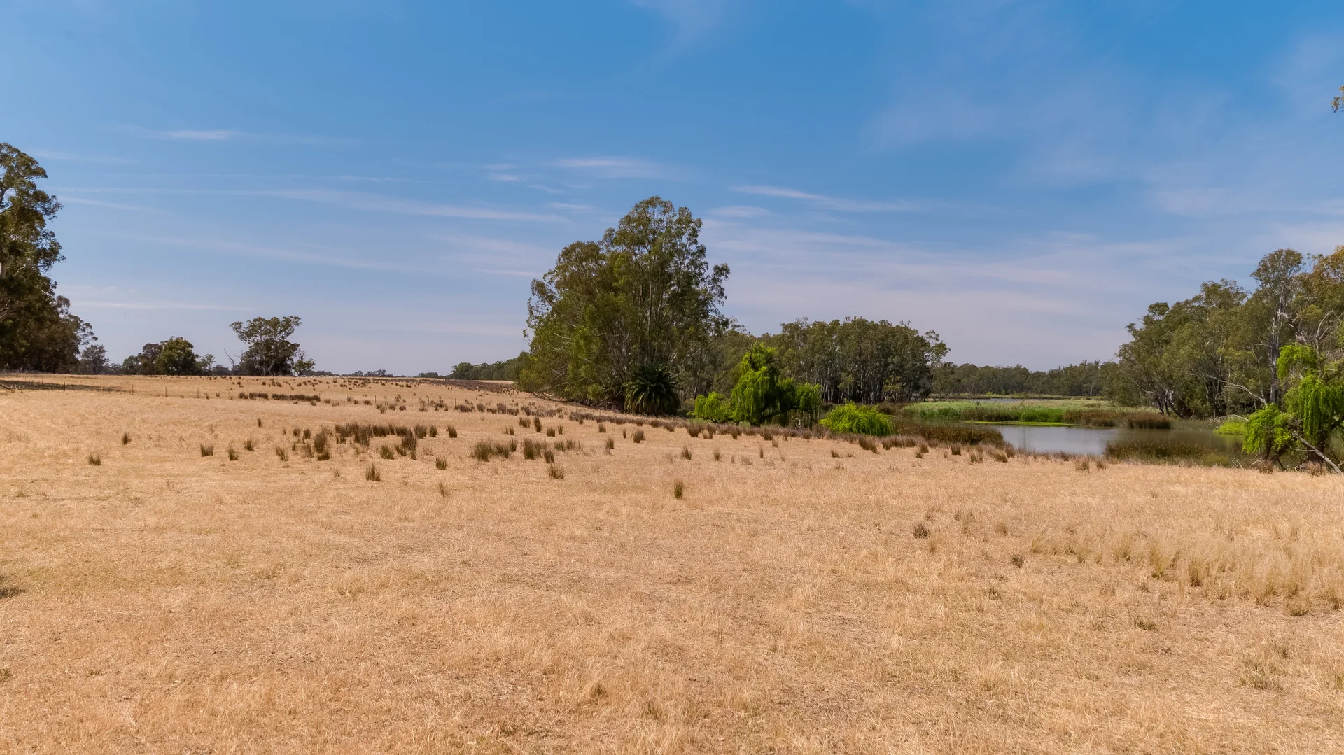Additional image 8 of 2237 Spring Drive, Collendina NSW 2646