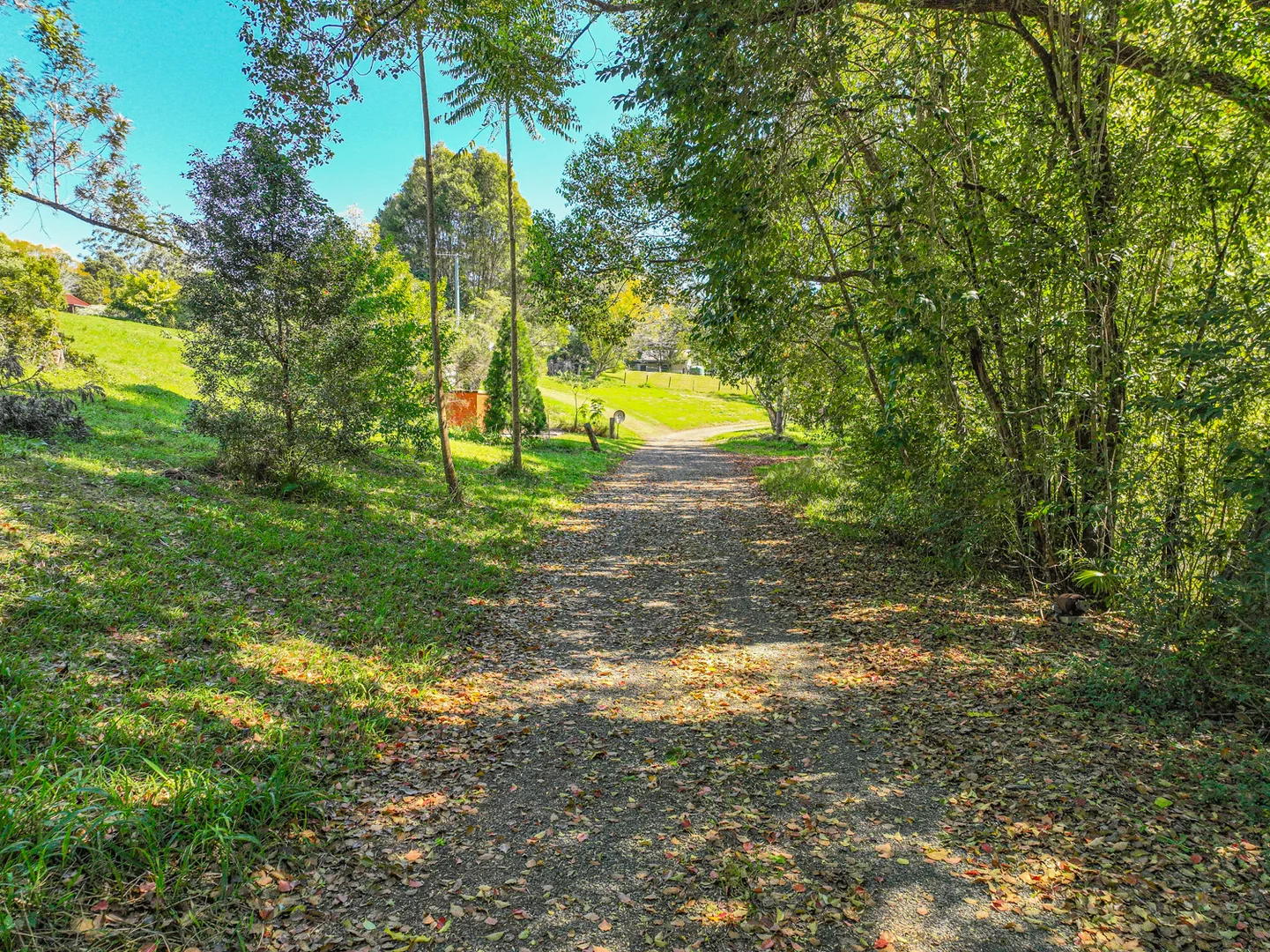 Additional image 27 of 110 Cullen Street, Nimbin NSW 2480