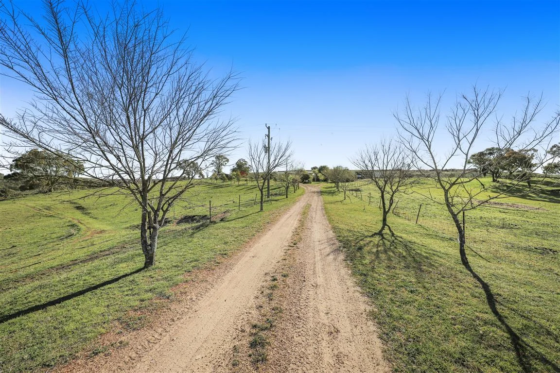 Additional image 23 of 221 Adjungbilly Village Road, Adjungbilly NSW 2727