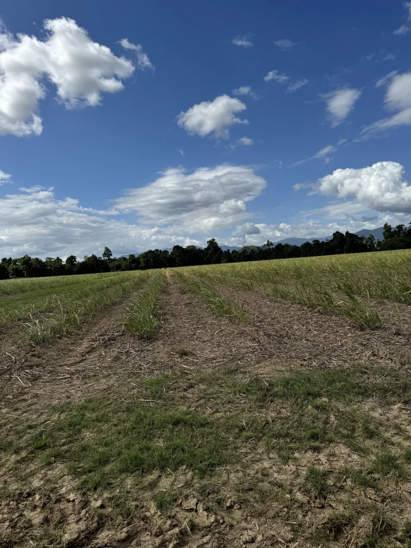 Additional image 5 of LOT 82 Gibbs Rd, Munro Plains QLD 4854