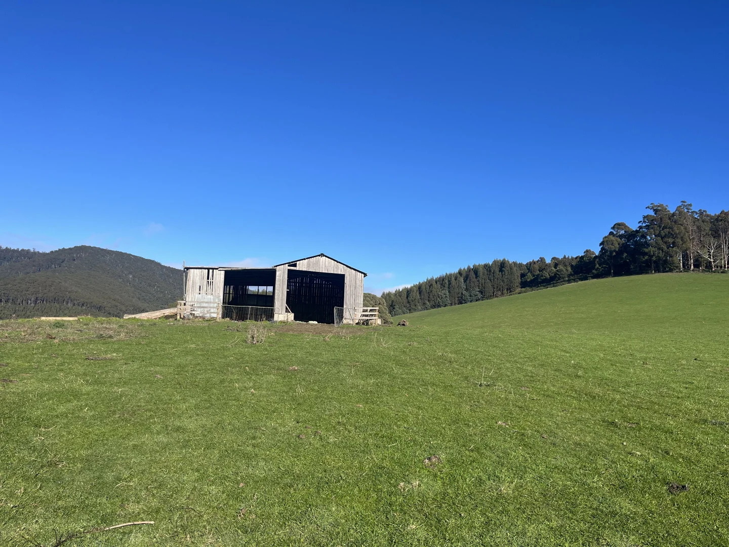 Additional image 13 of . Powers Road, Pyengana TAS 7216