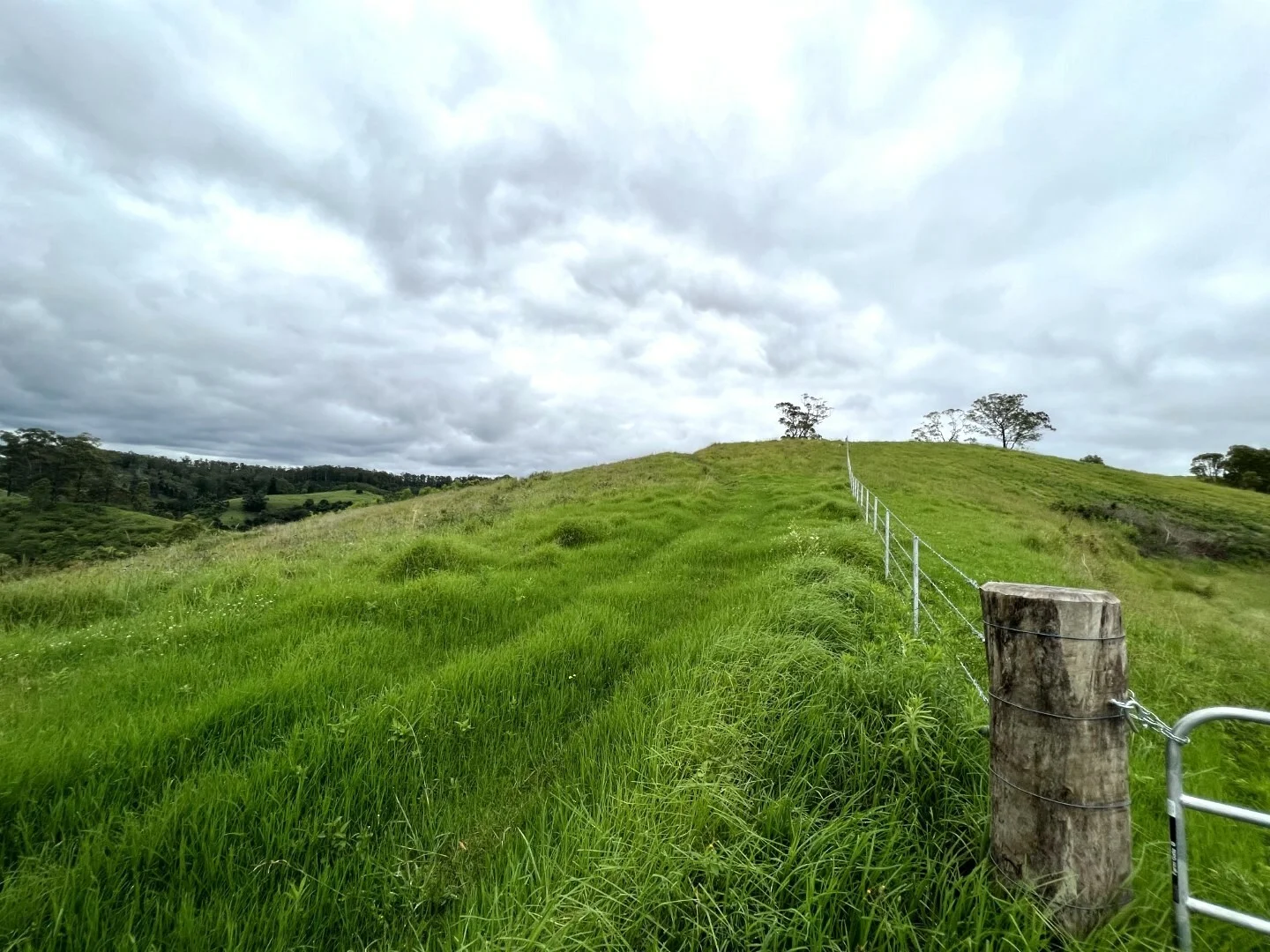 Additional image 39 of 59 Wyndham Road, Wyneden NSW 2474