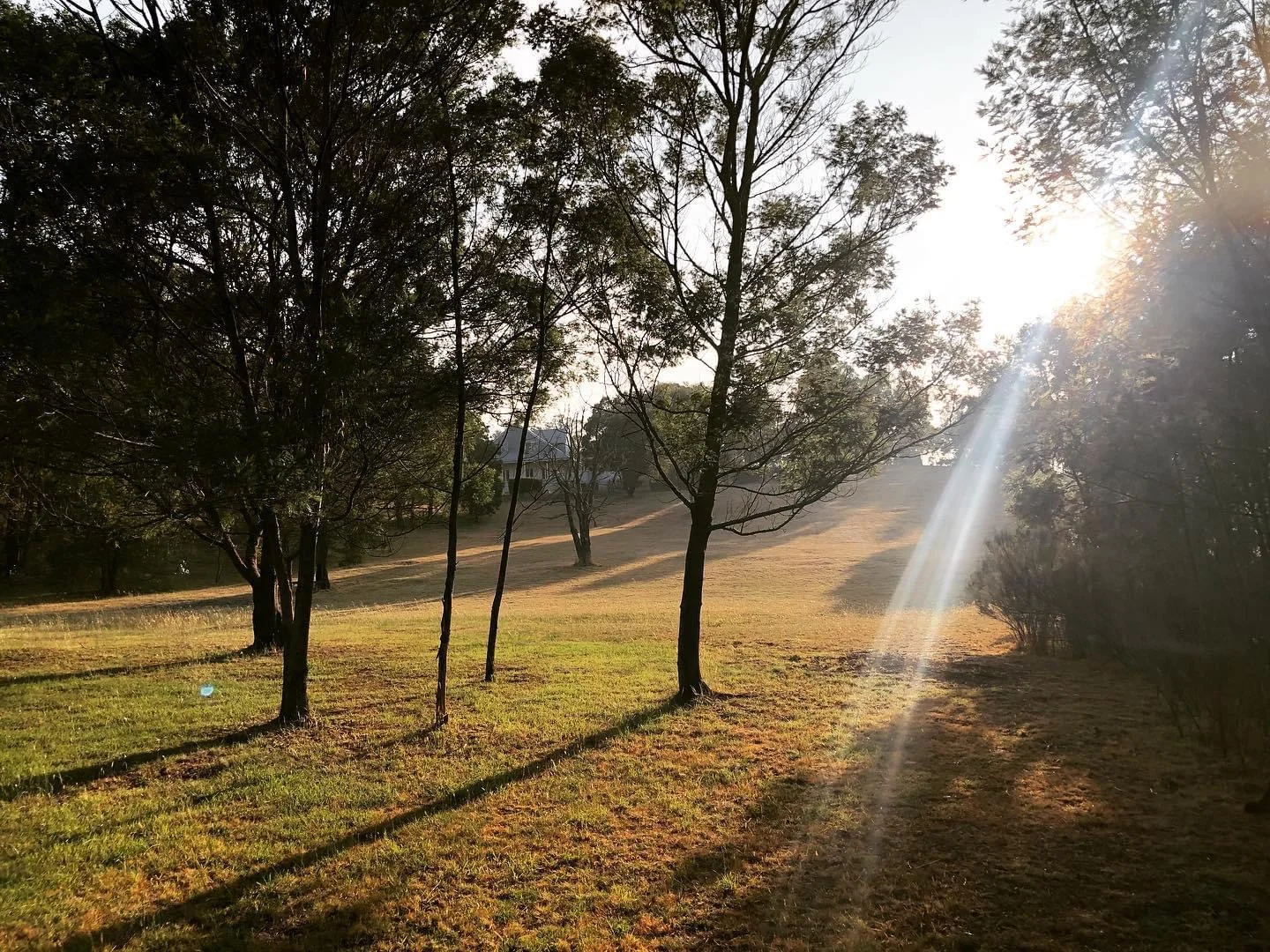 Additional image 13 of 58 Neville Lane, Napoleons VIC 3352