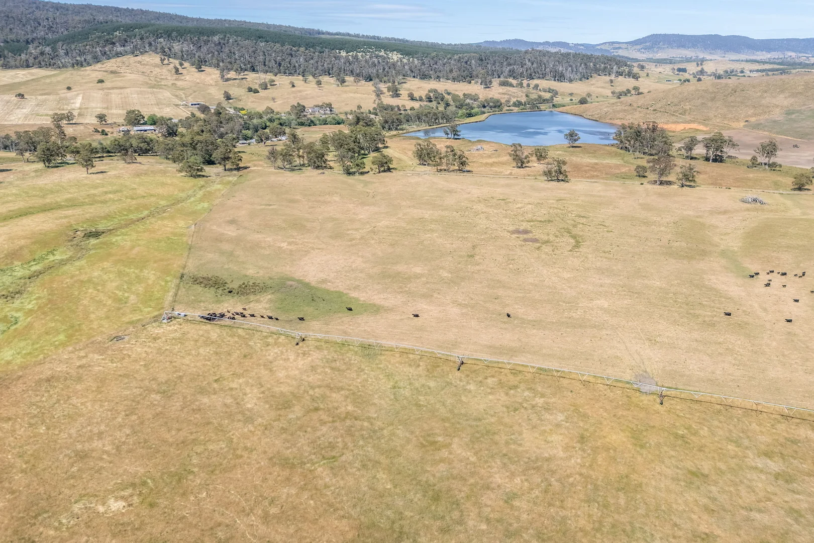Additional image 33 of 3600 Blessington Road, Upper Blessington TAS 7212