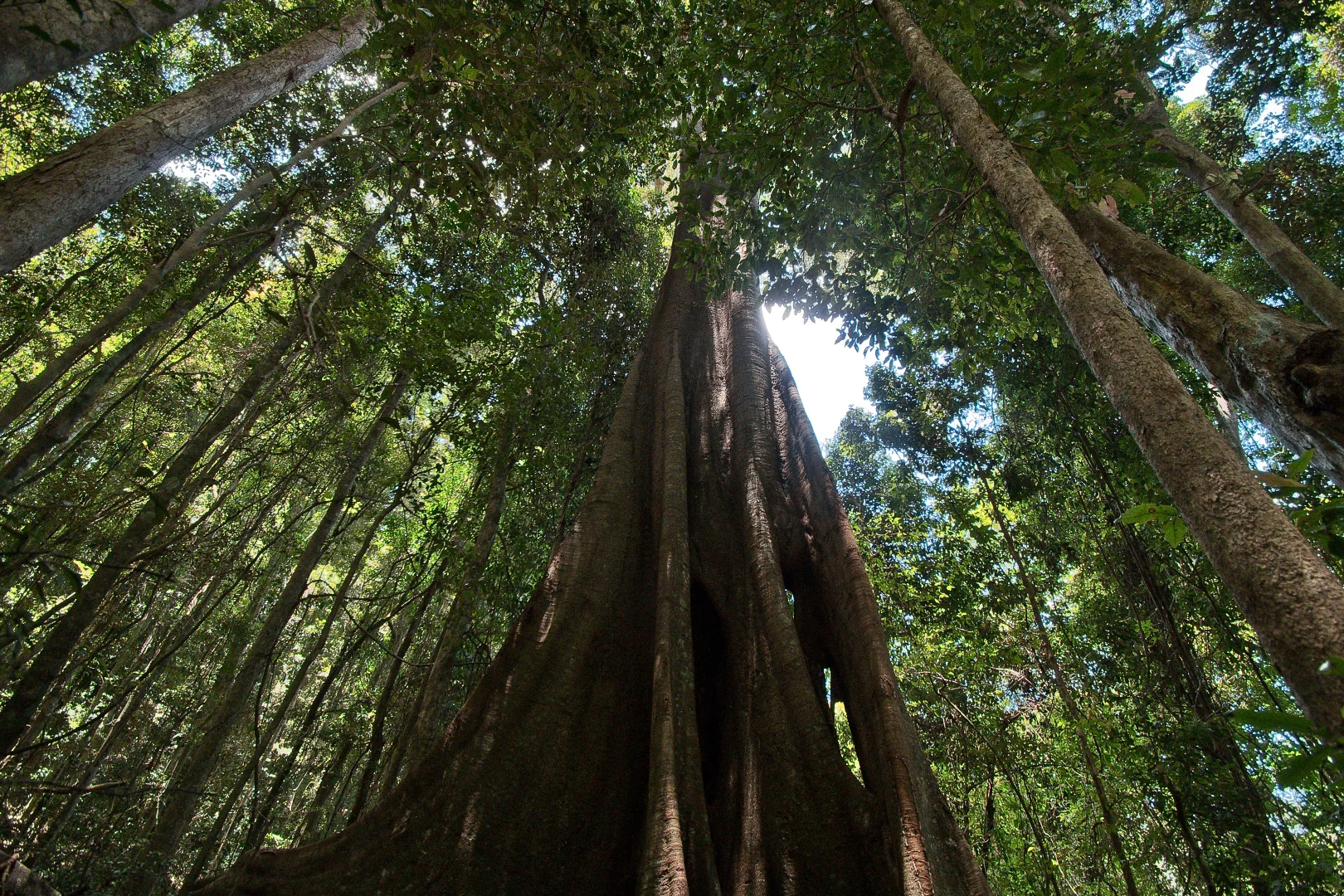 Additional image 8 of 156 Freds Road, Mount Pleasant QLD 4521