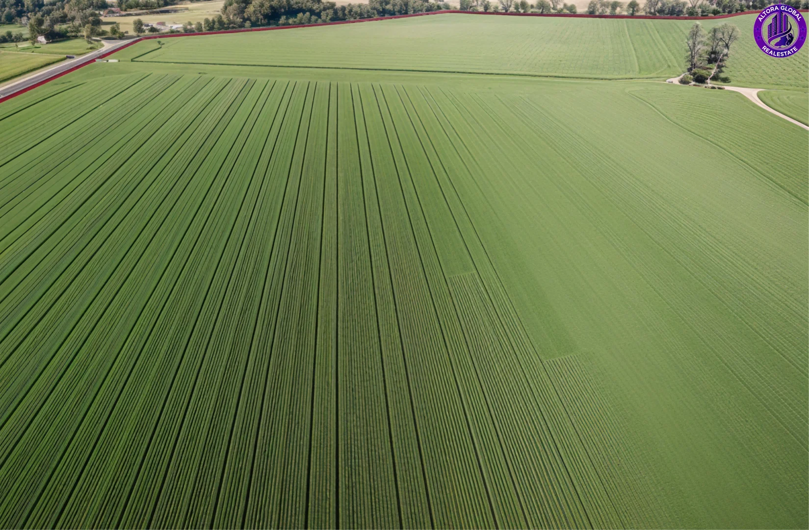 Additional image 8 of 149 Airport Road, Monto QLD 4630