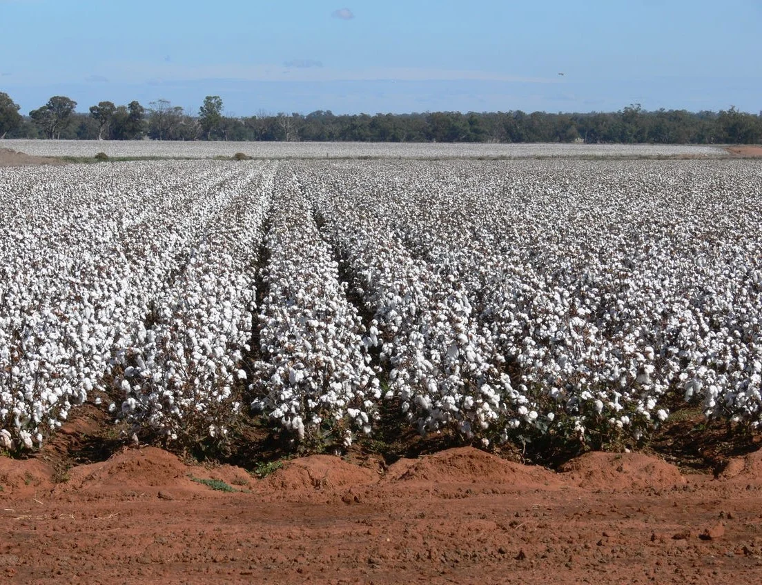 Additional image 18 of Sandy Camp & Kimaroi Sandy Camp Road, Condobolin NSW 2877