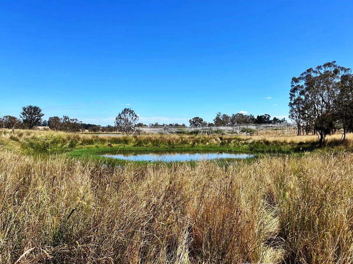 Additional image 21 of 42 Mabbotts Lane, Kentucky NSW 2354