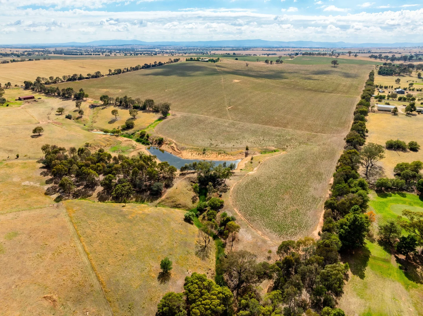 Additional image 5 of 70 Kinvara Road, Junee NSW 2663