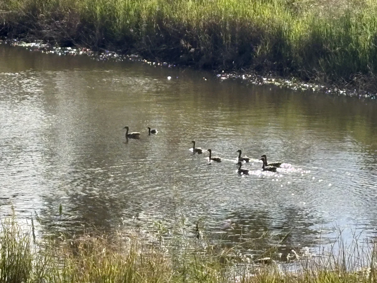 Additional image 22 of 1283 Old Esk Road, Taromeo QLD 4314