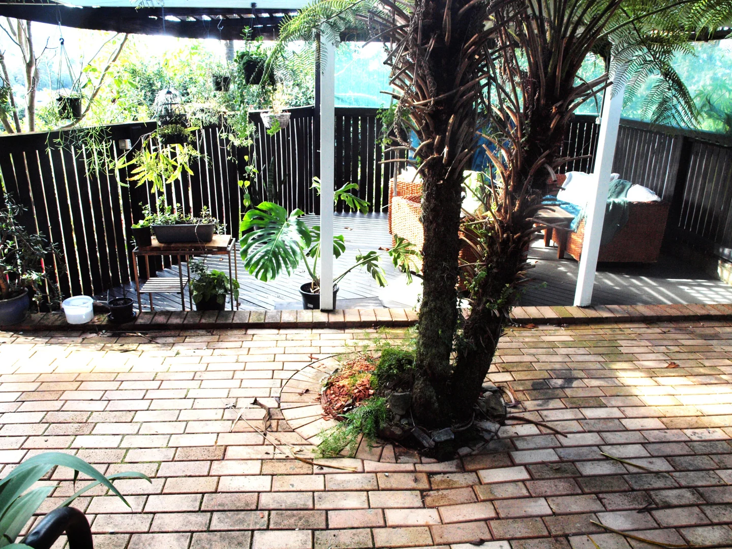 Additional image 22 of 43 Coramba Road, Coffs Harbour NSW 2450