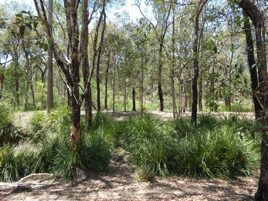 Additional image 33 of 1345 Tableland Road, Mount Maria QLD 4674