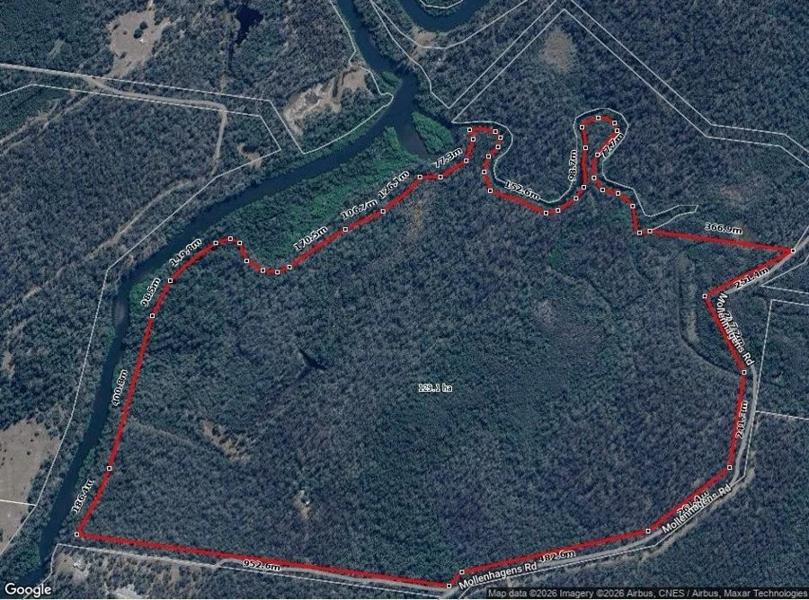 Additional image 21 of 310 MOLLENHAGENS ROAD, Winfield QLD 4670