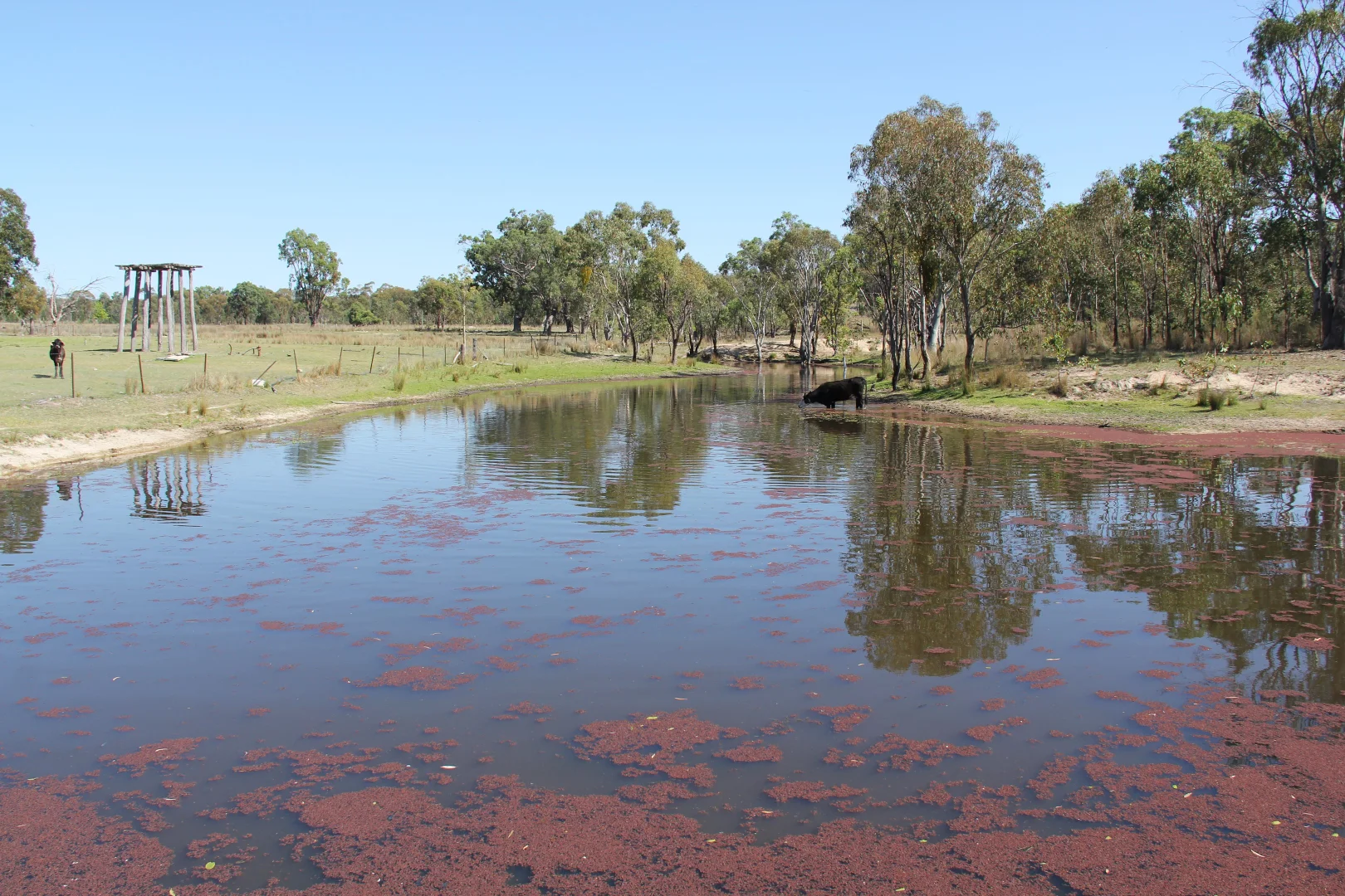 Additional image 4 of 1461 Atholwood Road, Bonshaw NSW 2361