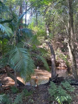 Additional image 2 of Ravensbourne QLD 4352