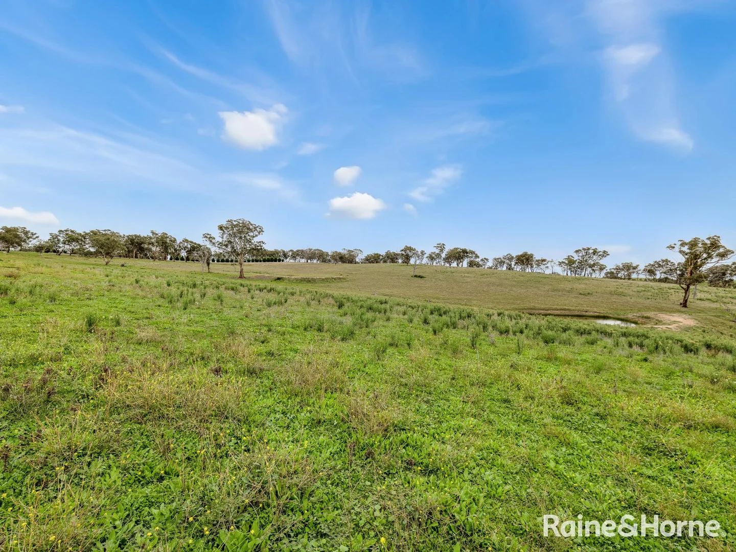 Additional image 33 of 223 Wimbledon Road, Georges Plains NSW 2795