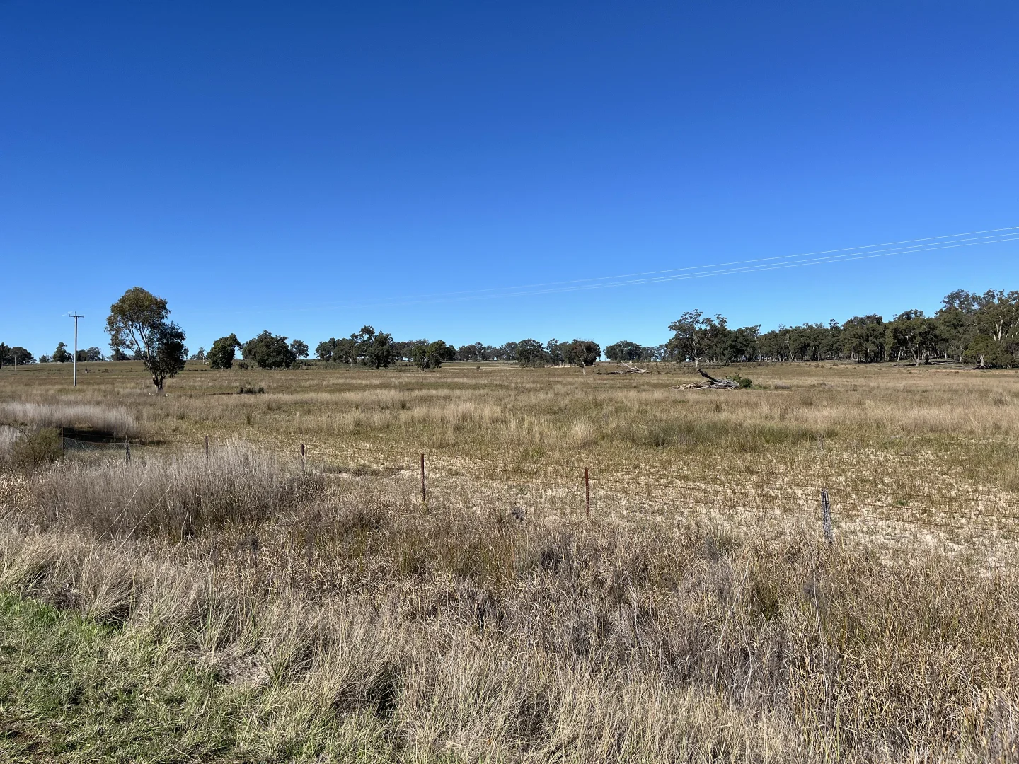 Additional image 34 of "Piambra" 714 Piambra Road, Binnaway NSW 2395