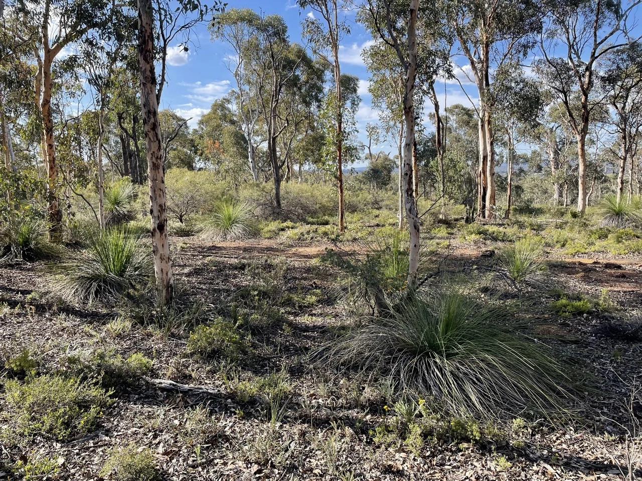 Additional image 13 of 200 Gumley Road, Bakers Hill WA 6562