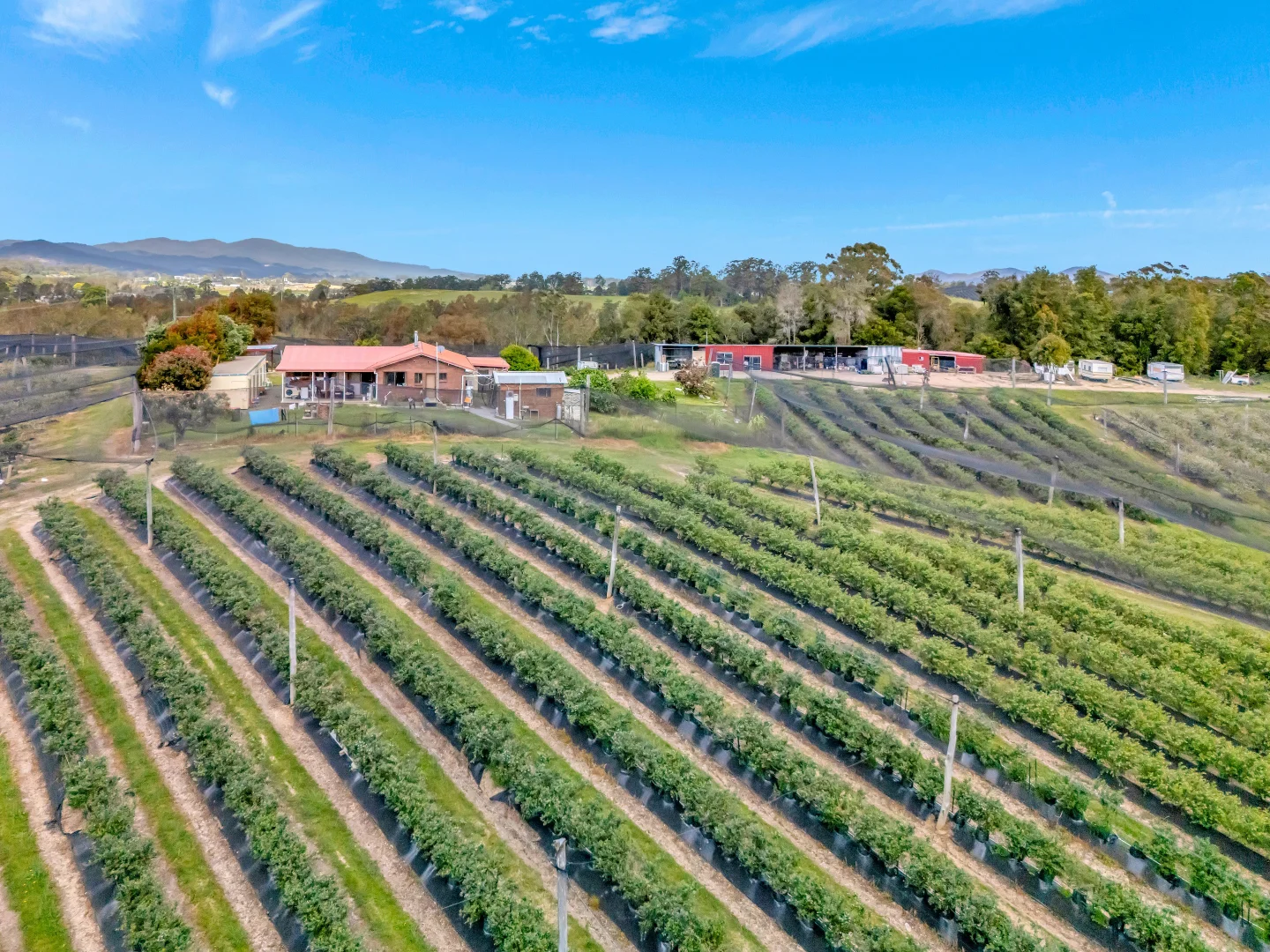 Additional image 3 of 13 Schuppe Drive, Congarinni North NSW 2447