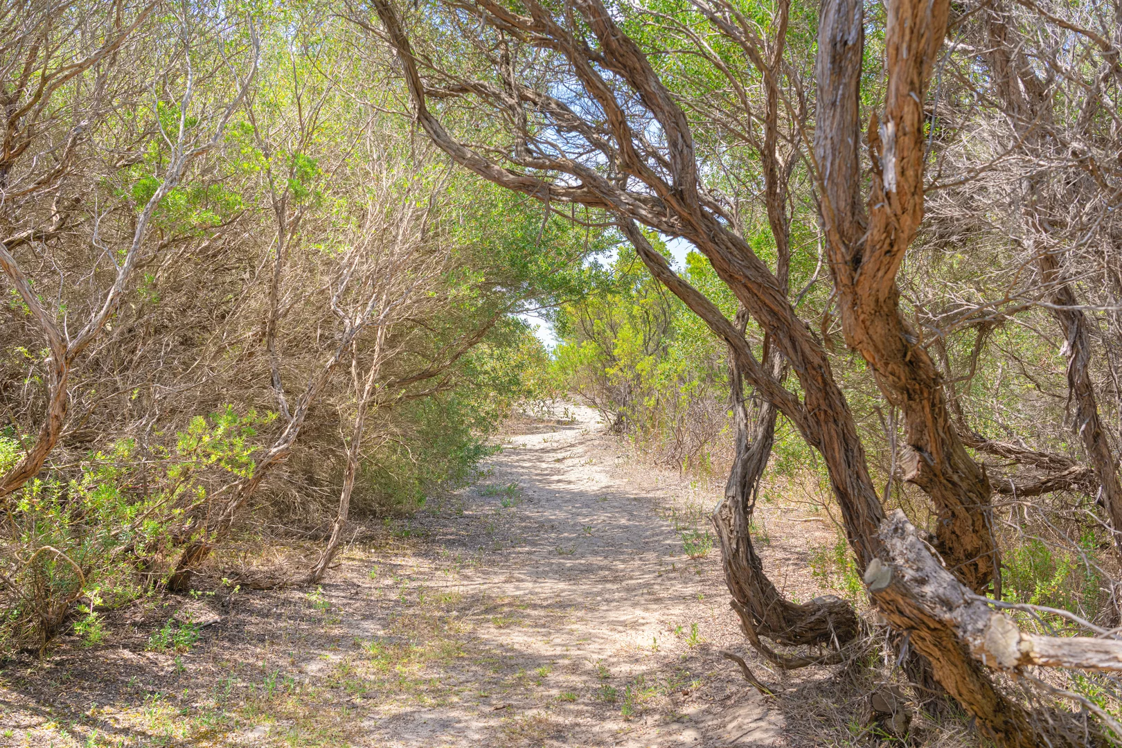 Additional image 18 of 4 McColls Way, Portsea VIC 3944