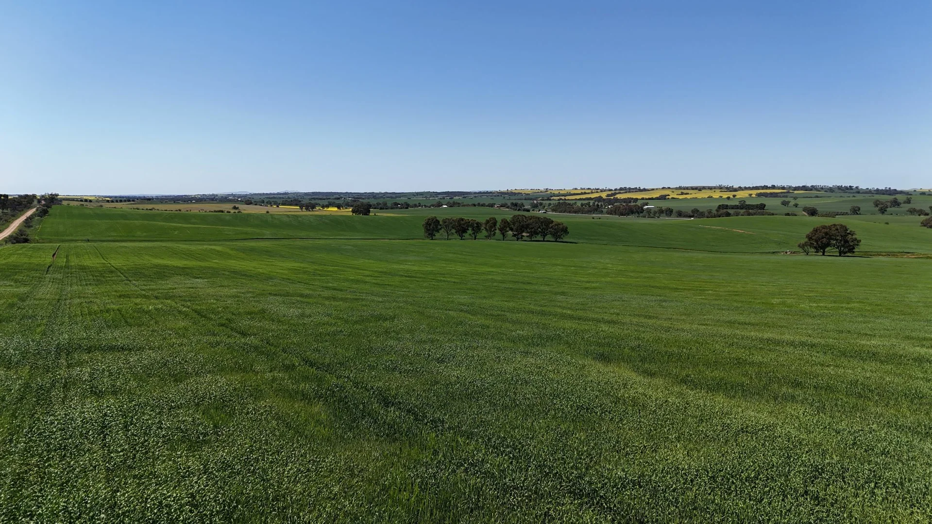 Additional image 5 of 'Ryans' Archie Road, Murray Town SA 5481