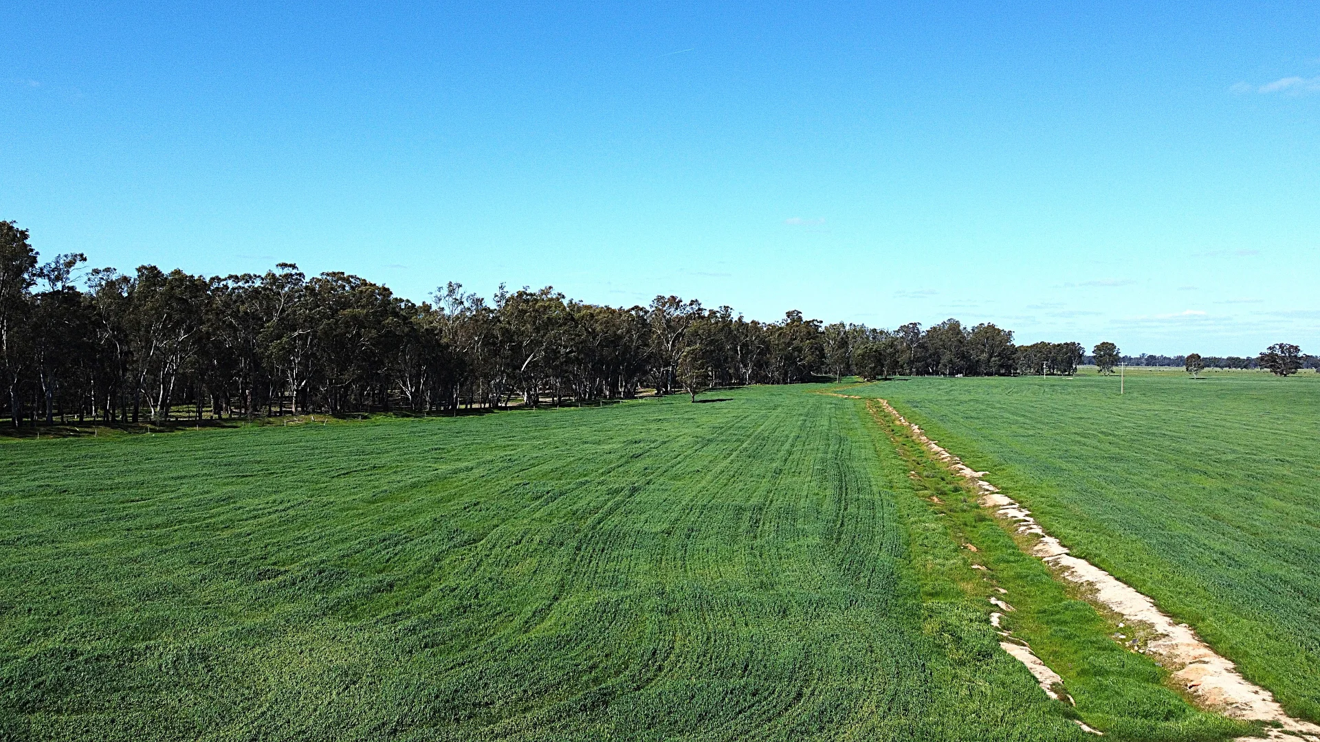 Additional image 8 of . Bangerang Road, Kanyapella VIC 3564