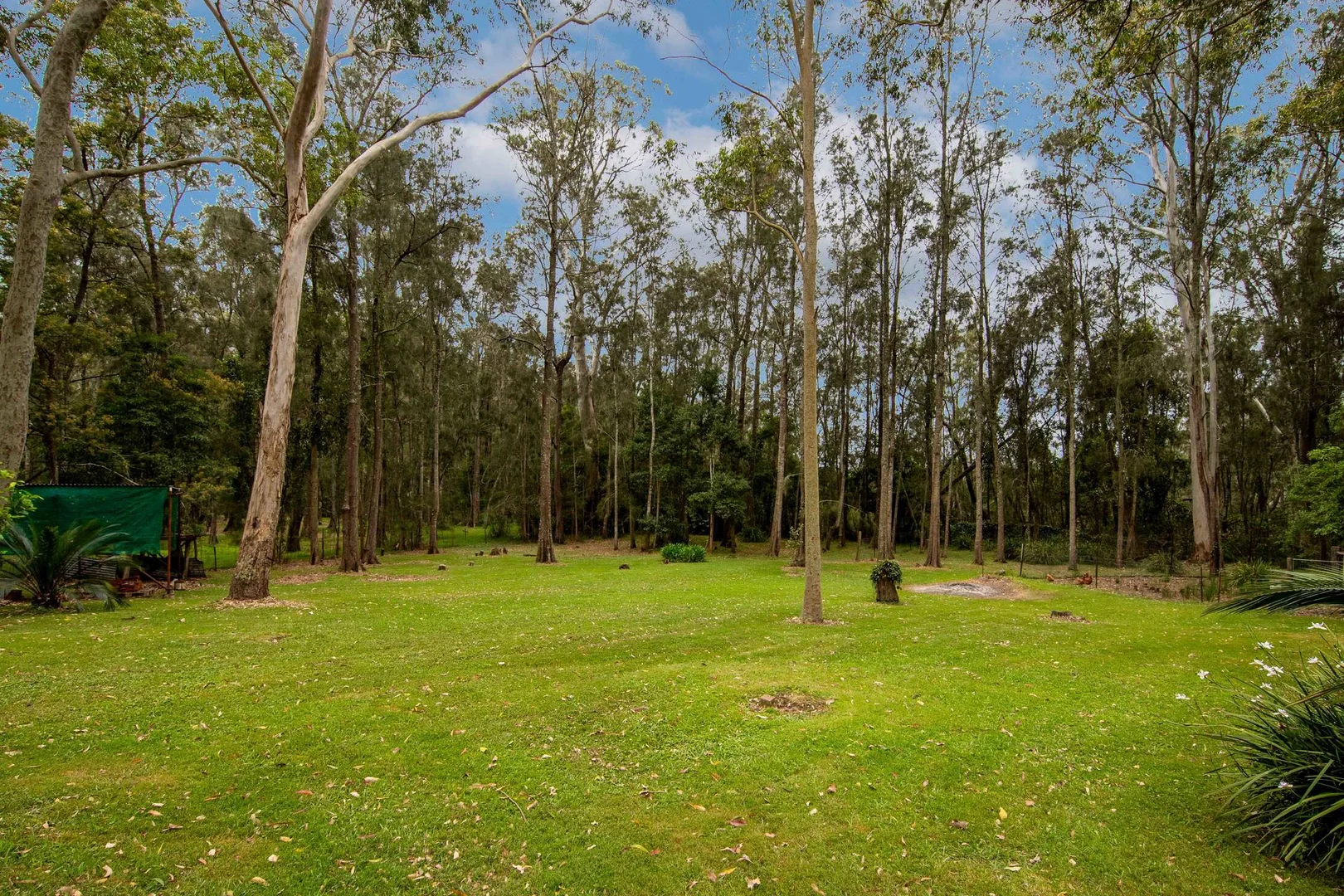 Additional image 28 of 28 Burri Palm Way, Surfside NSW 2536