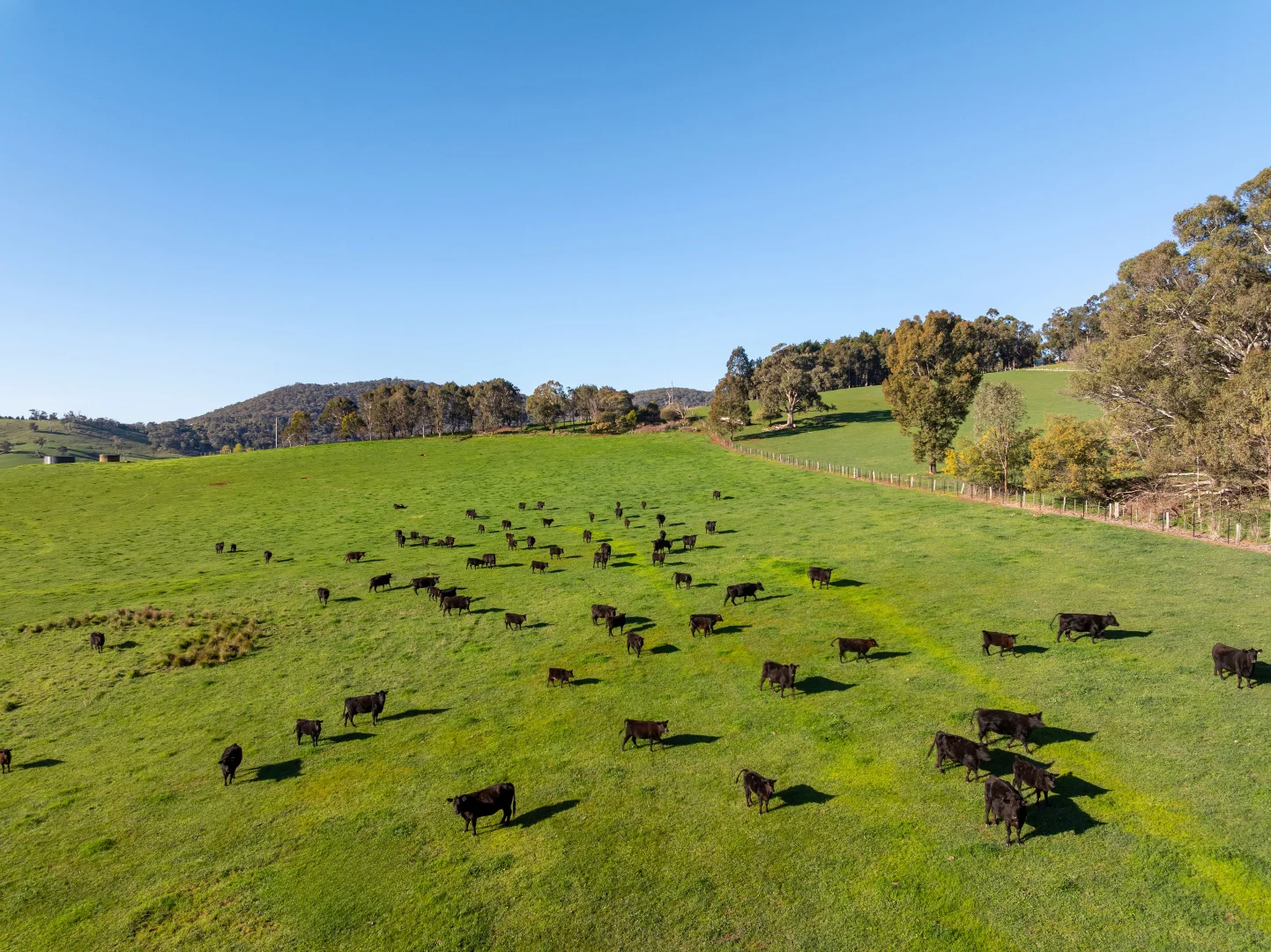 Additional image 25 of 71 Schoolhouse Road, Samaria VIC 3673