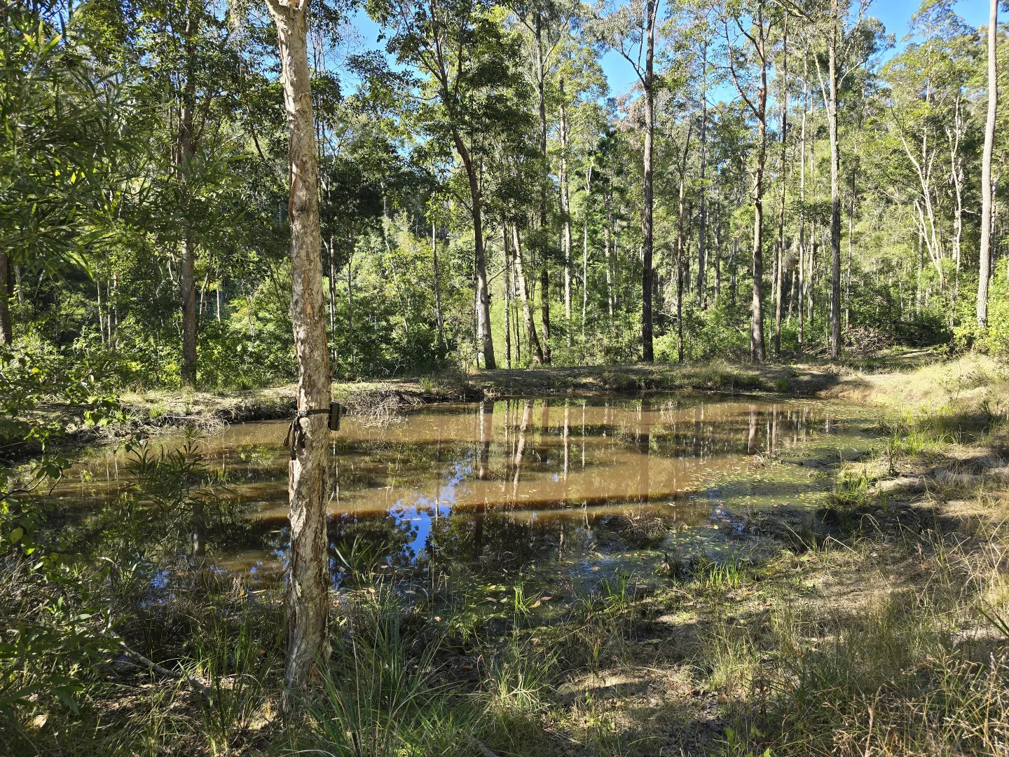 Additional image 23 of 0 SUNDAY CREEK ROAD, Jimna QLD 4515