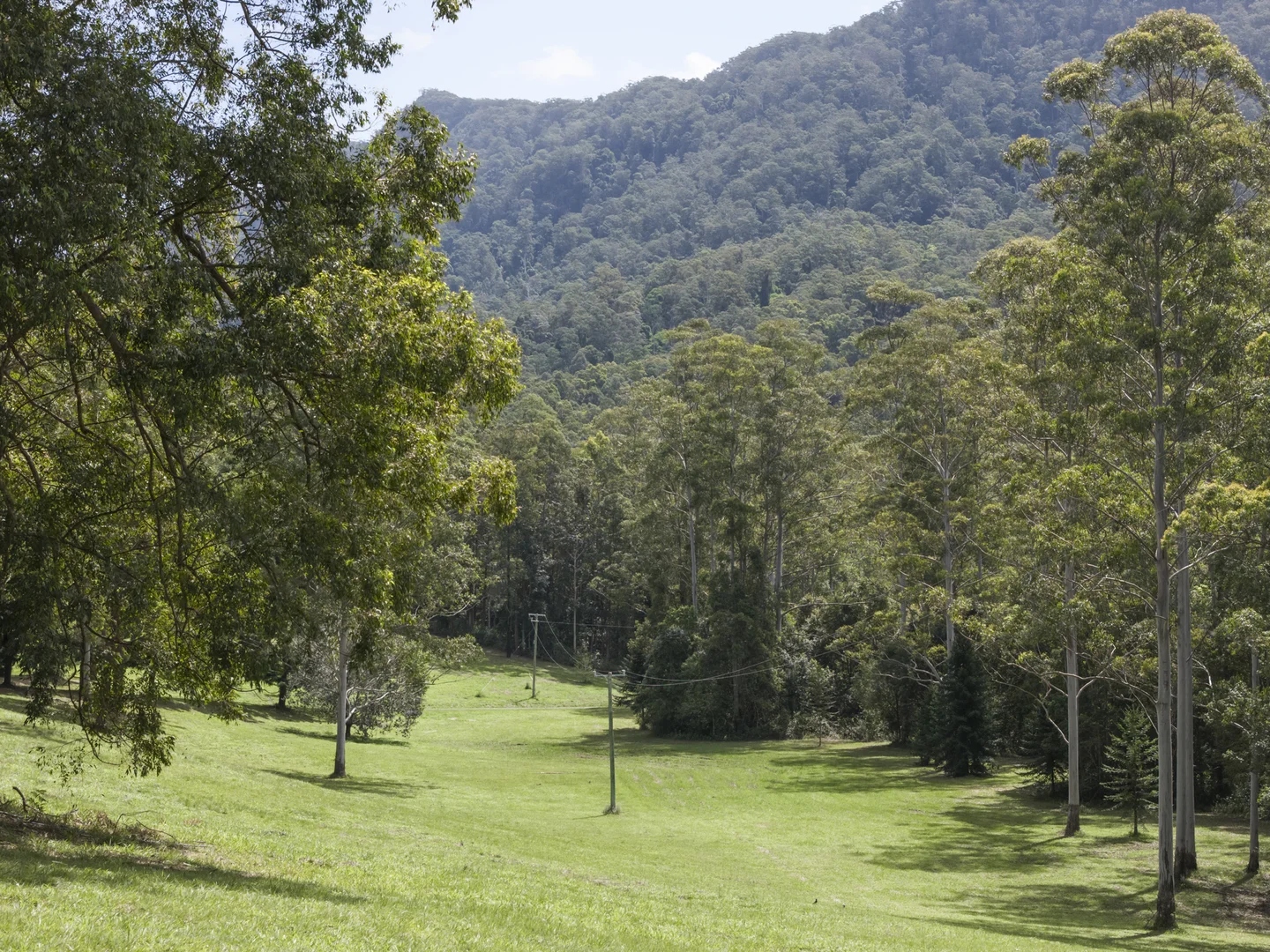Additional image 7 of 1 Freida Hicks Drive, Bellingen NSW 2454