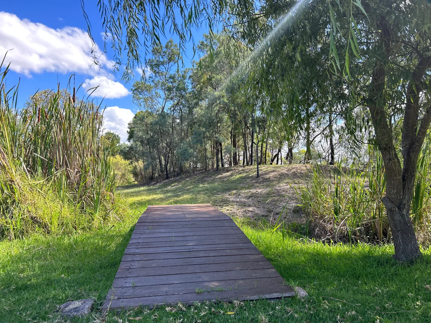 Additional image 23 of 249 Granite Belt Dve, Thulimbah QLD 4376