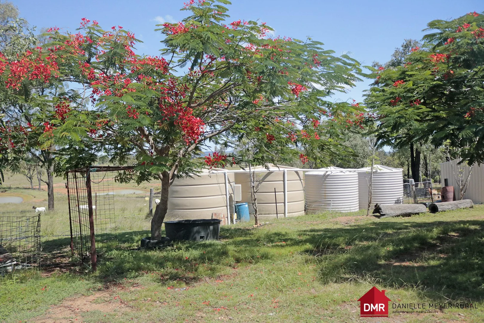 Additional image 8 of 110 Benhams Road, Mundubbera QLD 4626