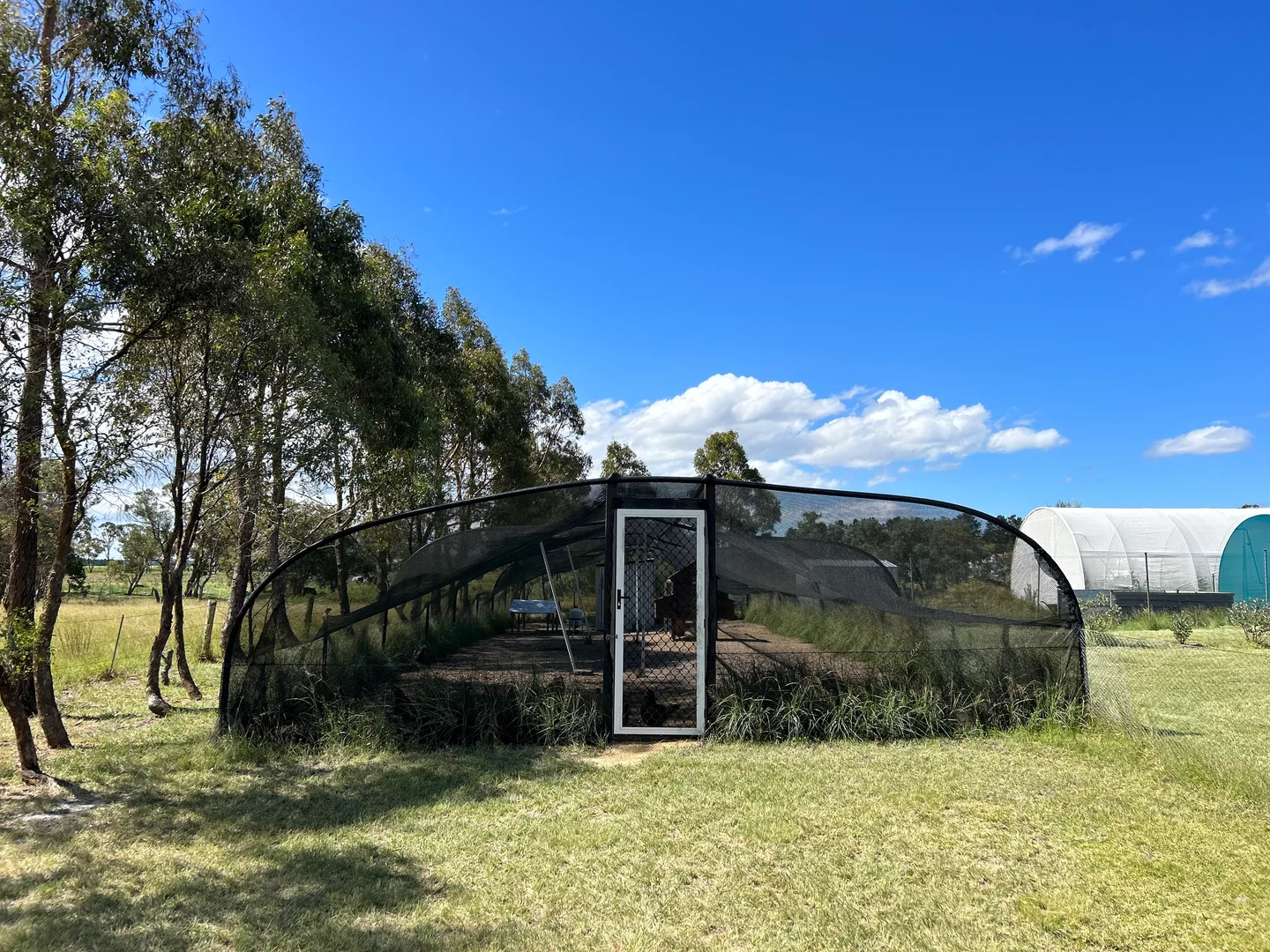 Additional image 12 of 249 Granite Belt Dve, Thulimbah QLD 4376